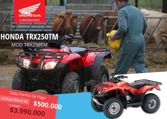 trx250tm-moto-honda-colvin-y-colvin-3-2018