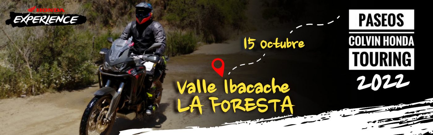pcht_valle_ibacache_15_octubre