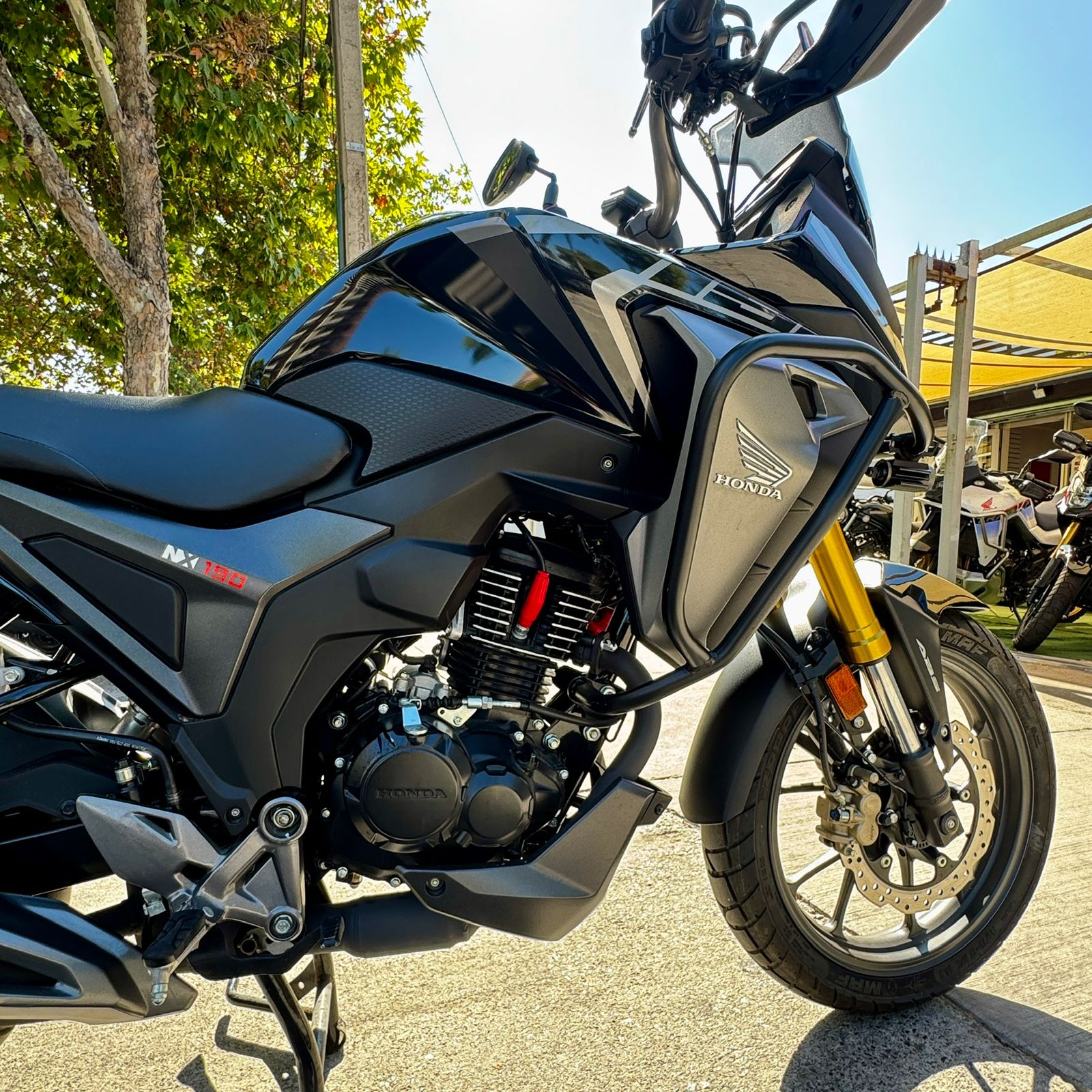 WhatsApp Image 2026-03-27 at 13.05.34 (3)